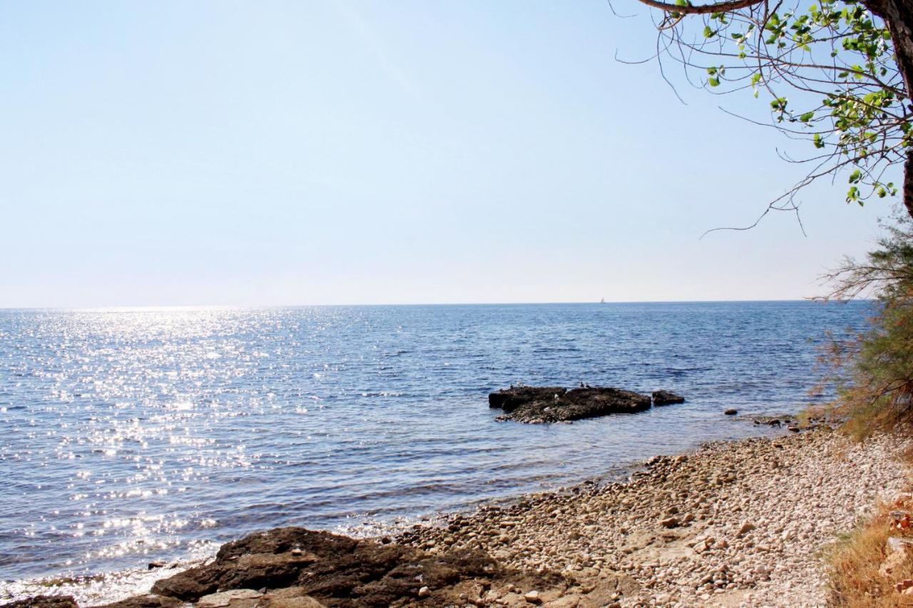 Holiday House With A Parking Space Babici, Umag - 13795 Экстерьер фото